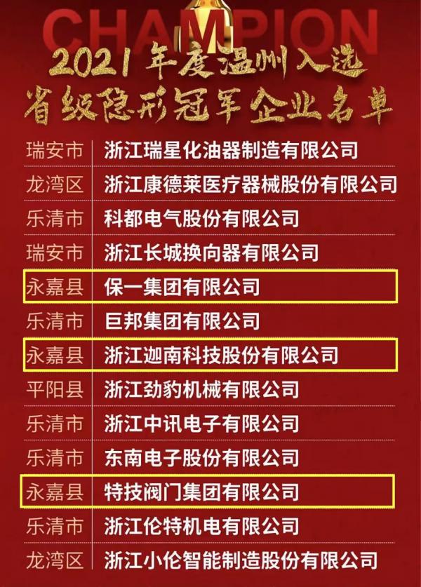 贊！永嘉省級(jí)“隱形冠軍”企業(yè)增加為9家，位列全省縣級(jí)第二，山區(qū)26縣第一！