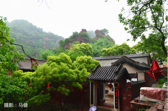 愛情山到處是蓬勃的生機(jī)。