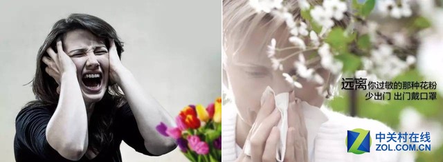 賞花正當(dāng)時(shí) 花粉過敏的小伙伴們?cè)趺雌? 